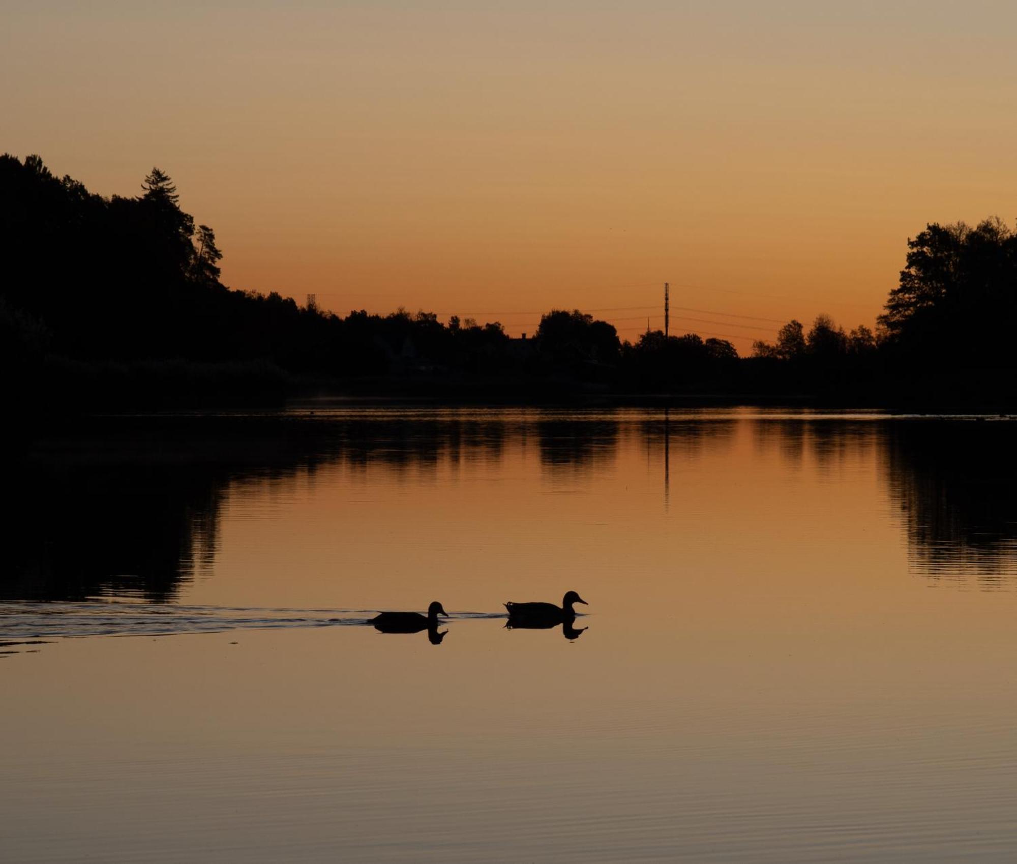 Stenkullens Gardshus Borensberg Buitenkant foto